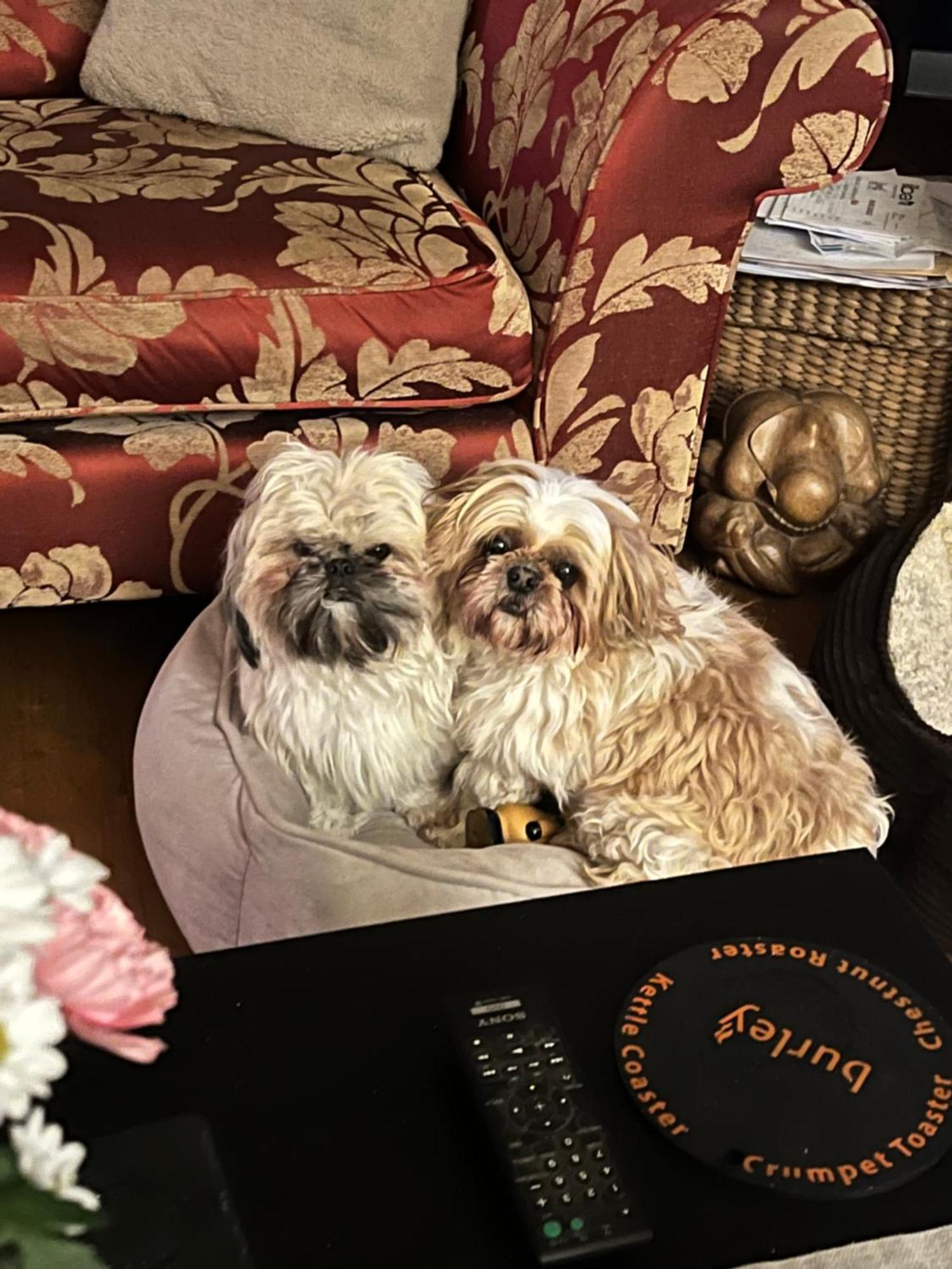 Chez Jallot Vidaillat エクステリア 写真